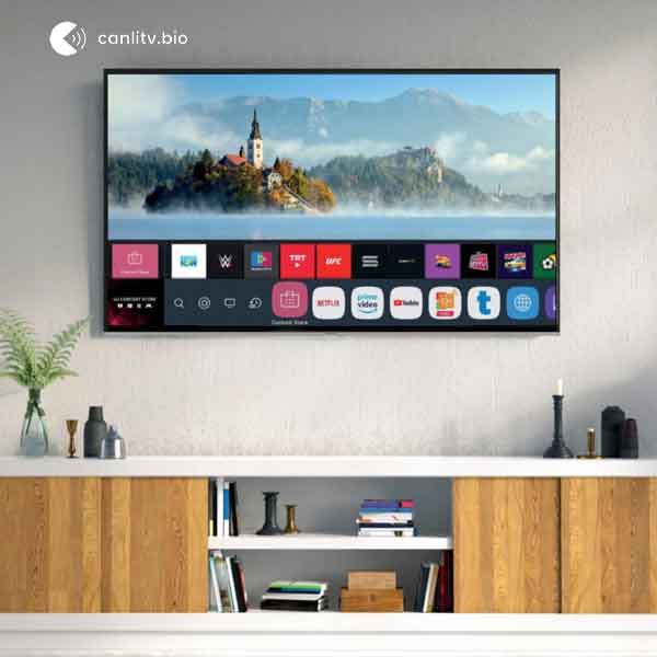 Sunny Sn43dal540 0276 webOS Modeli TV