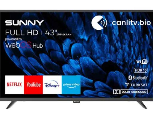 Sunny SN43DAL540-0276 İncelemesi: 43 İnç webOS TV Alınır mı?